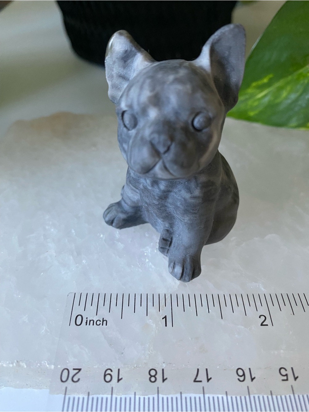 Shellstone Bulldog Figurine - Picture 3 of 7